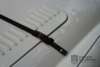 1954 Austin - Healey to 100M Specs &ldquo;Listed in 100M Le Mans Registry&rdquo;