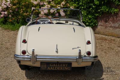 1954 Austin - Healey to 100M Specs &ldquo;Listed in 100M Le Mans Registry&rdquo;