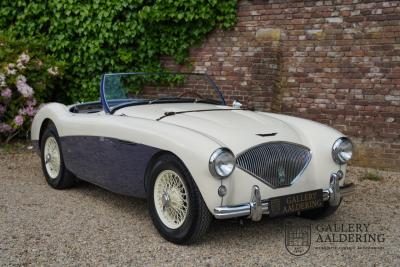 1954 Austin - Healey to 100M Specs &ldquo;Listed in 100M Le Mans Registry&rdquo;