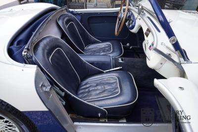 1954 Austin - Healey to 100M Specs &ldquo;Listed in 100M Le Mans Registry&rdquo;