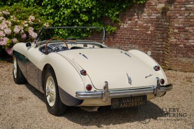 1954 Austin - Healey to 100M Specs &ldquo;Listed in 100M Le Mans Registry&rdquo;