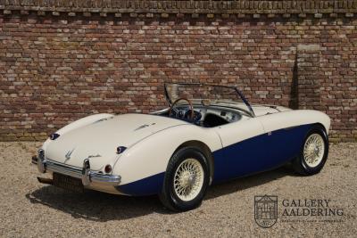 1954 Austin - Healey to 100M Specs &ldquo;Listed in 100M Le Mans Registry&rdquo;