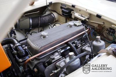 1954 Austin - Healey to 100M Specs &ldquo;Listed in 100M Le Mans Registry&rdquo;