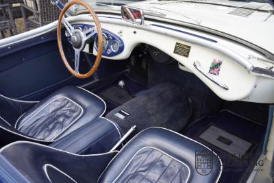 1954 Austin - Healey to 100M Specs &ldquo;Listed in 100M Le Mans Registry&rdquo;