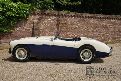 1954 Austin - Healey to 100M Specs &ldquo;Listed in 100M Le Mans Registry&rdquo;