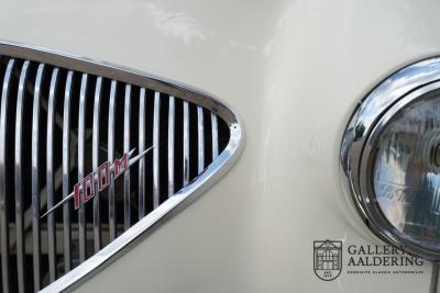 1954 Austin - Healey to 100M Specs &ldquo;Listed in 100M Le Mans Registry&rdquo;
