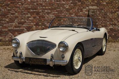1954 Austin - Healey to 100M Specs &ldquo;Listed in 100M Le Mans Registry&rdquo;
