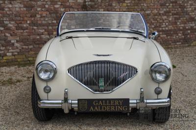 1954 Austin - Healey to 100M Specs &ldquo;Listed in 100M Le Mans Registry&rdquo;