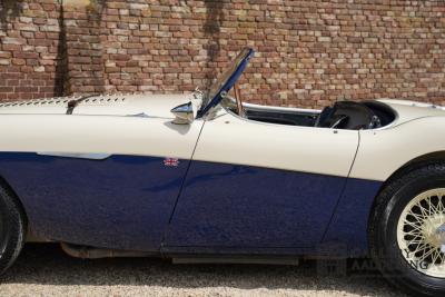 1954 Austin - Healey to 100M Specs &ldquo;Listed in 100M Le Mans Registry&rdquo;