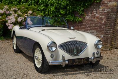 1954 Austin - Healey to 100M Specs &ldquo;Listed in 100M Le Mans Registry&rdquo;