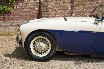 1954 Austin - Healey to 100M Specs &ldquo;Listed in 100M Le Mans Registry&rdquo;