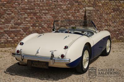 1954 Austin - Healey to 100M Specs &ldquo;Listed in 100M Le Mans Registry&rdquo;