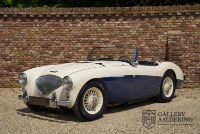 1954 Austin - Healey to 100M Specs &ldquo;Listed in 100M Le Mans Registry&rdquo;