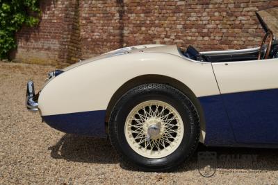 1954 Austin - Healey to 100M Specs &ldquo;Listed in 100M Le Mans Registry&rdquo;