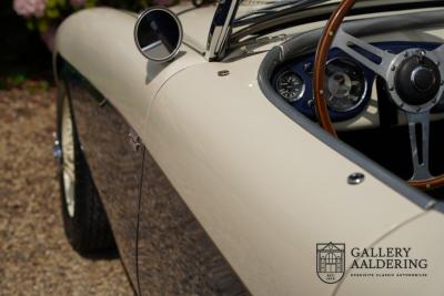 1954 Austin - Healey to 100M Specs &ldquo;Listed in 100M Le Mans Registry&rdquo;