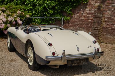 1954 Austin - Healey to 100M Specs &ldquo;Listed in 100M Le Mans Registry&rdquo;