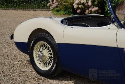 1954 Austin - Healey to 100M Specs &ldquo;Listed in 100M Le Mans Registry&rdquo;