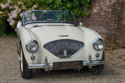 1954 Austin - Healey to 100M Specs &ldquo;Listed in 100M Le Mans Registry&rdquo;