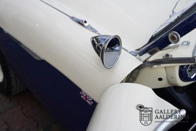 1954 Austin - Healey to 100M Specs &ldquo;Listed in 100M Le Mans Registry&rdquo;