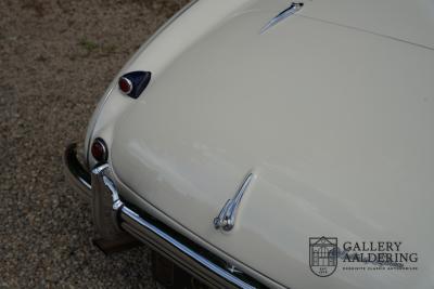 1954 Austin - Healey to 100M Specs &ldquo;Listed in 100M Le Mans Registry&rdquo;