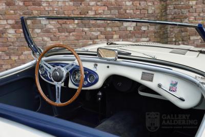 1954 Austin - Healey to 100M Specs &ldquo;Listed in 100M Le Mans Registry&rdquo;