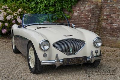 1954 Austin - Healey to 100M Specs &ldquo;Listed in 100M Le Mans Registry&rdquo;