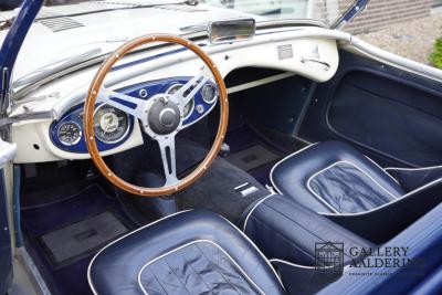 1954 Austin - Healey to 100M Specs &ldquo;Listed in 100M Le Mans Registry&rdquo;