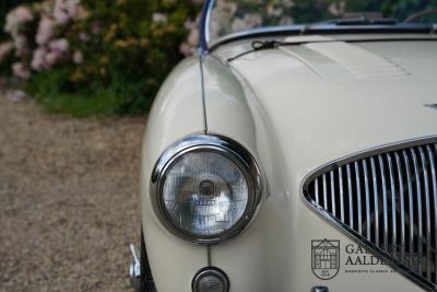1954 Austin - Healey to 100M Specs &ldquo;Listed in 100M Le Mans Registry&rdquo;