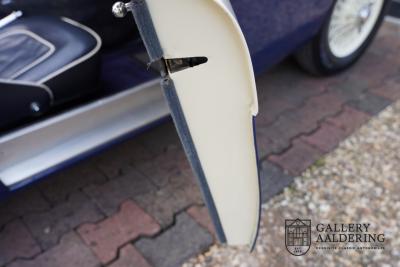 1954 Austin - Healey to 100M Specs &ldquo;Listed in 100M Le Mans Registry&rdquo;