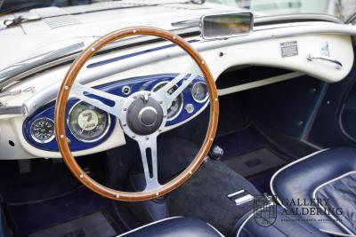 1954 Austin - Healey to 100M Specs &ldquo;Listed in 100M Le Mans Registry&rdquo;