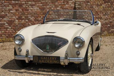 1954 Austin - Healey to 100M Specs &ldquo;Listed in 100M Le Mans Registry&rdquo;