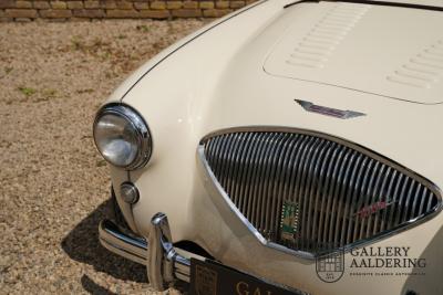 1954 Austin - Healey to 100M Specs &ldquo;Listed in 100M Le Mans Registry&rdquo;