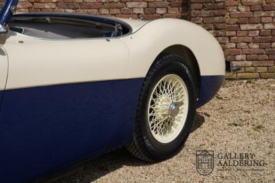 1954 Austin - Healey to 100M Specs &ldquo;Listed in 100M Le Mans Registry&rdquo;