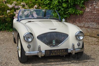 1954 Austin - Healey to 100M Specs &ldquo;Listed in 100M Le Mans Registry&rdquo;