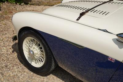 1954 Austin - Healey to 100M Specs &ldquo;Listed in 100M Le Mans Registry&rdquo;
