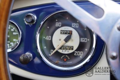 1954 Austin - Healey to 100M Specs &ldquo;Listed in 100M Le Mans Registry&rdquo;