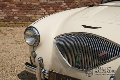 1954 Austin - Healey to 100M Specs &ldquo;Listed in 100M Le Mans Registry&rdquo;