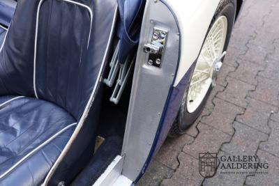 1954 Austin - Healey to 100M Specs &ldquo;Listed in 100M Le Mans Registry&rdquo;