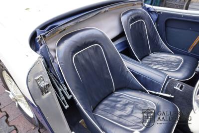 1954 Austin - Healey to 100M Specs &ldquo;Listed in 100M Le Mans Registry&rdquo;