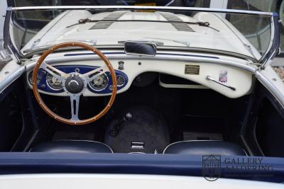 1954 Austin - Healey to 100M Specs &ldquo;Listed in 100M Le Mans Registry&rdquo;