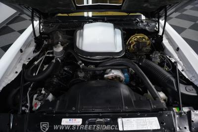 1979 Pontiac Firebird Trans Am