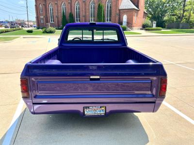 1987 Dodge D100