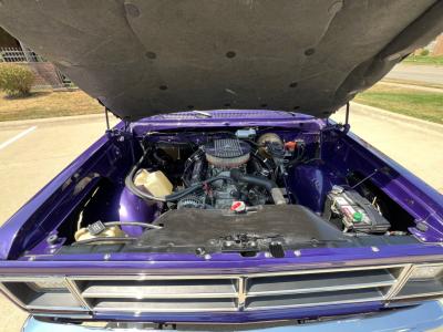 1987 Dodge D100