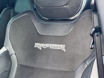 2021 Ford 2.0 EcoBlue Raptor Auto 4WD Euro 6 (s/s) 4dr