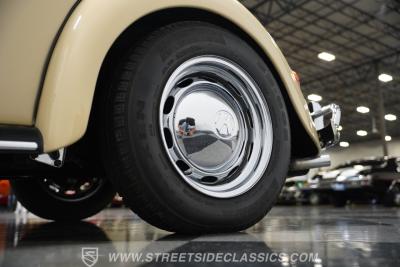 1967 Volkswagen Beetle