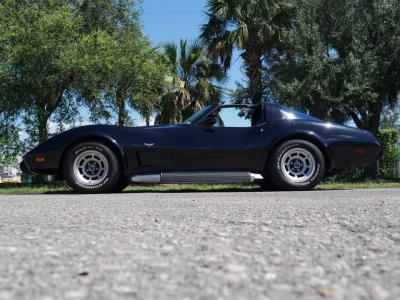 1979 Chevrolet Corvette Coupe