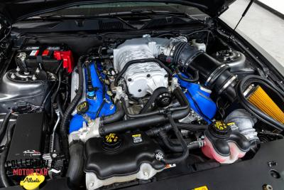 2013 Shelby GT500