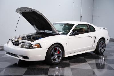2001 Ford Mustang Cobra SVT Supercharged