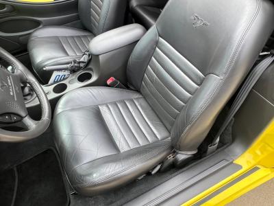 2002 Ford Saleen Mustang