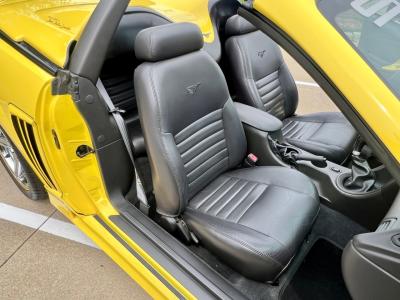 2002 Ford Saleen Mustang